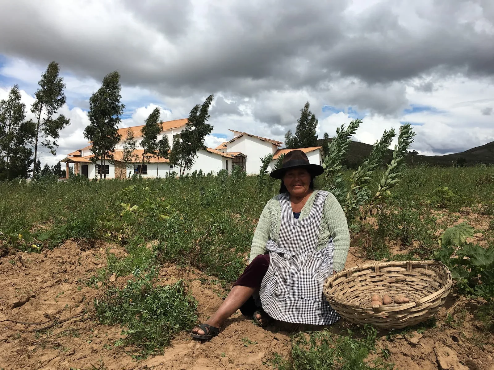 A woman in a hat and checked apron sits in a dug potato field with a full basket beside her, the white mission base behind.